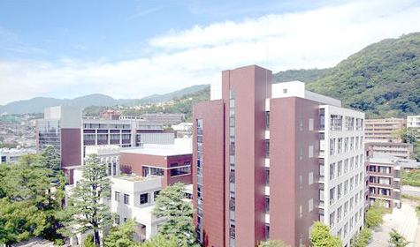 日本留学，甲南大学有哪些专业？