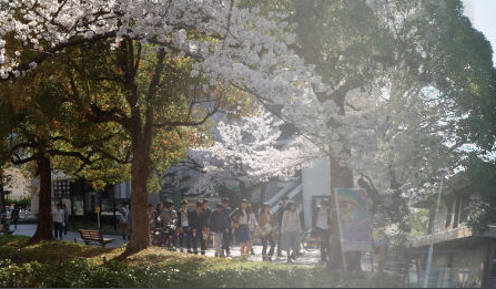 香川大学在日本水平怎么样，排名如何？