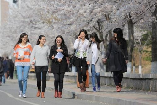 上海jtest培训：在日外国留学生人数创新高   中国留学生数量破10万