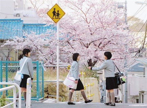 日本专门学校有哪些特色和优势？