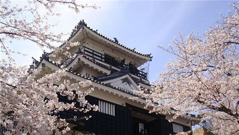 日本留学择校，可不只有七所旧帝大！