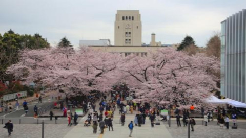 日本留学的好处，你都知道吗？